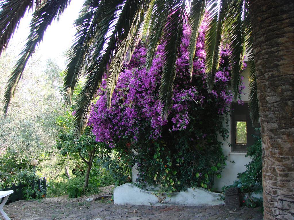 Agriturismo Su Tiresi Cala Gonone Exterior photo