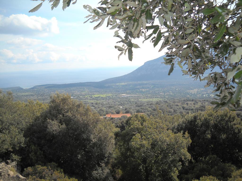Agriturismo Su Tiresi Cala Gonone Exterior photo
